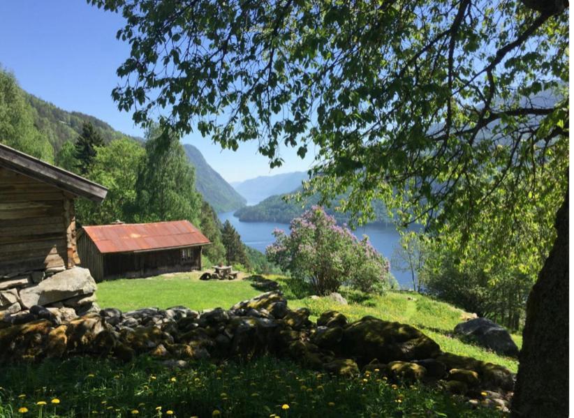 Dalen i Telemark Villa Eksteriør billede