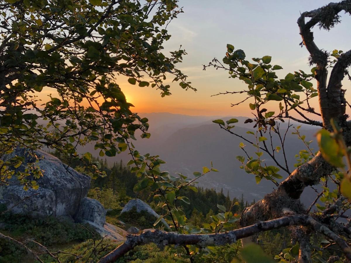 Dalen i Telemark Villa Eksteriør billede